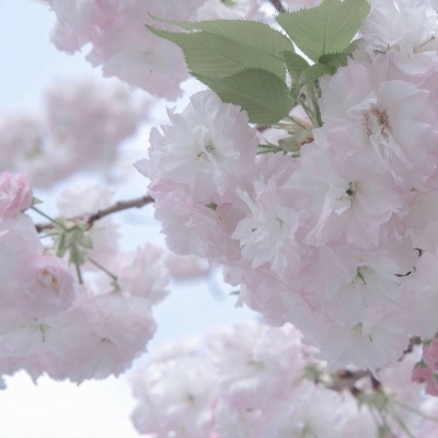 Furry圈创作干货兽圈社群